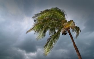 Hurricanes Cause an Increased Rate of Home Repair and Maintenance